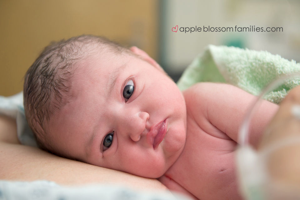 Apple Blossom Families- Vancouver Birth Photographer and Vancouver Doula Morag Hastings