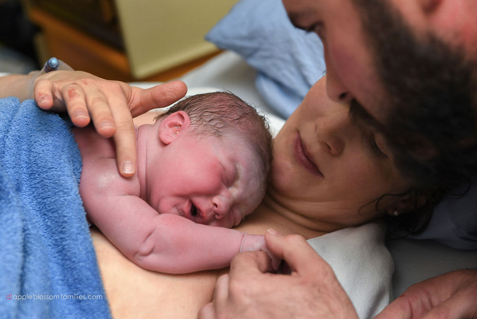Vancouver Birth Photographer Apple Blossom Families
