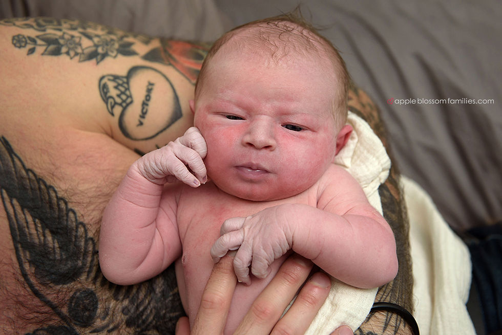 Vancouver Birth Photographer Apple Blossom Families