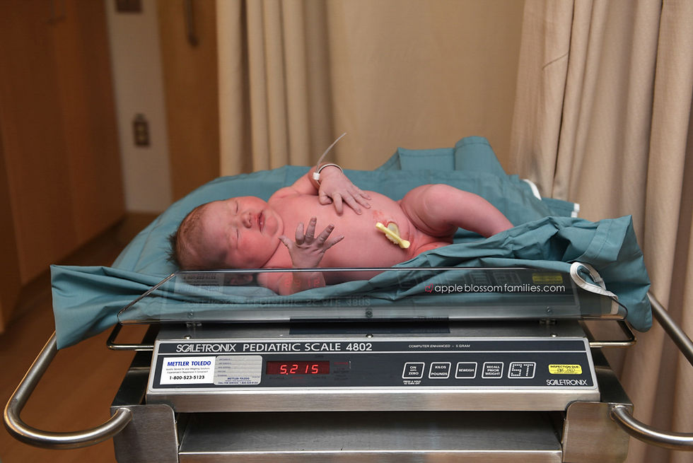 Vancouver Birth Photographer Apple Blossom Families