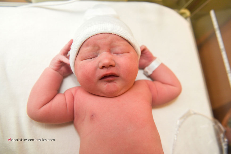 Vancouver Birth Photographer Apple Blossom Families