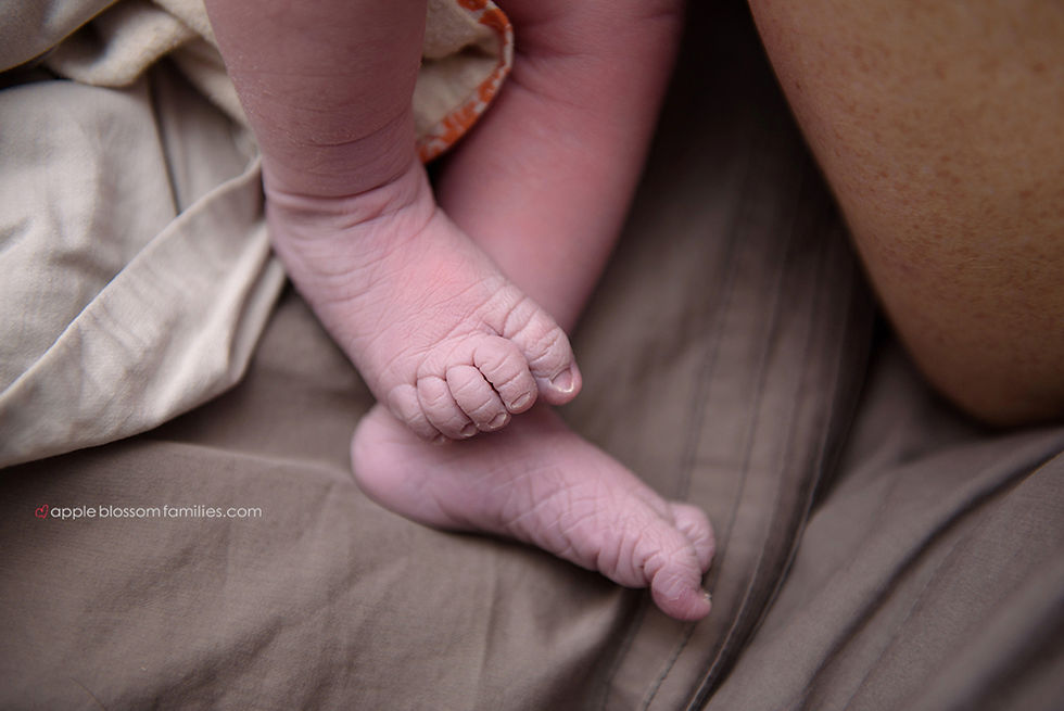 Vancouver Birth Photographer Apple Blossom Families