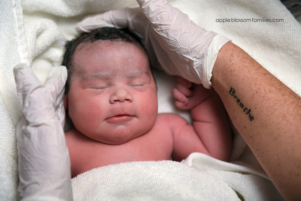 Vancouver Birth Photographer Apple Blossom Families