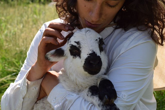 Celeste and Scotty lamb