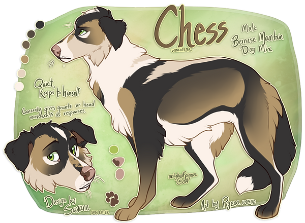 Chess