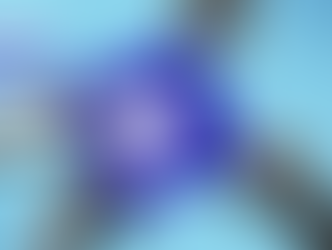 Global cooperation drives efforts to uphold human rights, combat climate change, and promote peace in conflict-affected regions