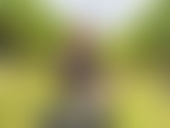 With an academic background in chemistry and biology, Sophio decided to combine her love of science and nature and go into winemaking.