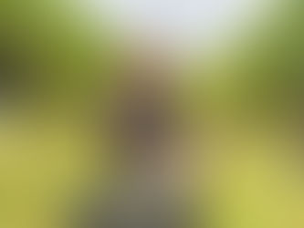 With an academic background in chemistry and biology, Sophio decided to combine her love of science and nature and go into winemaking.