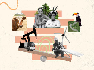 Carbon markets are systems where carbon credits are traded