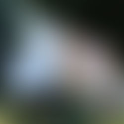 『没後50年 坂本繁二郎展』