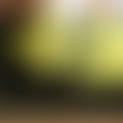 『扇の国、日本』