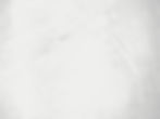 grungy-white-background-natural-cement-stone-old-texture-as-retro-pattern-wall.jpg