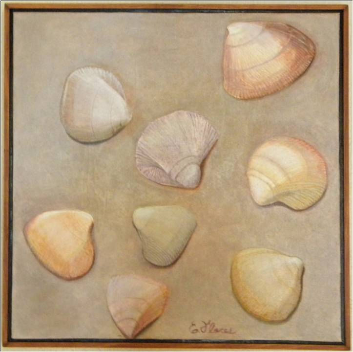 Conchas