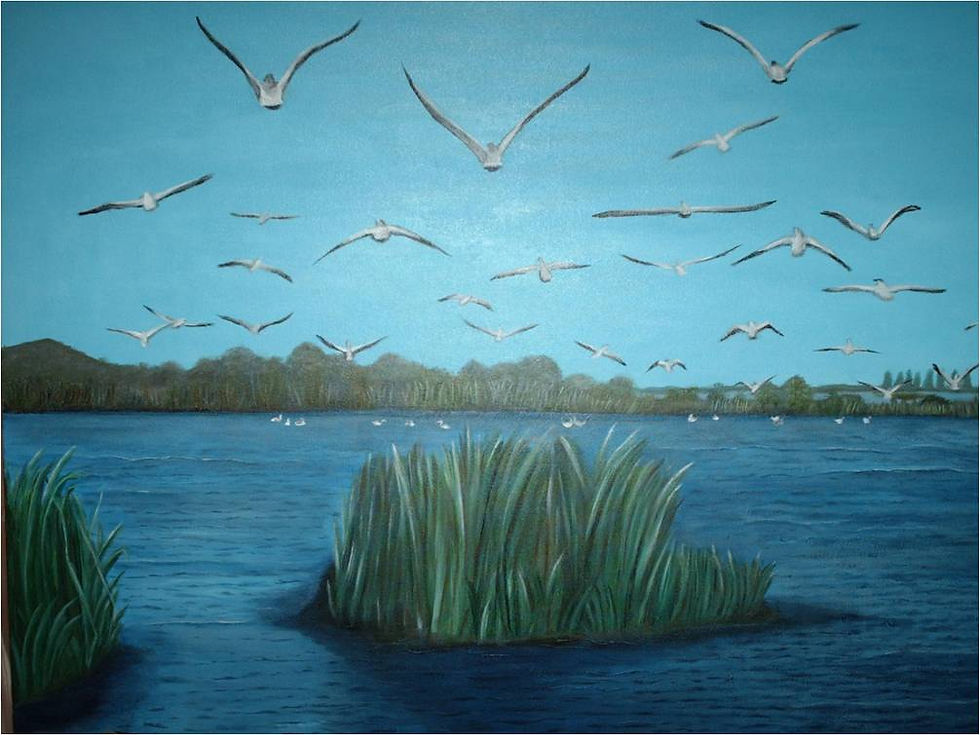 Laguna de Chairel