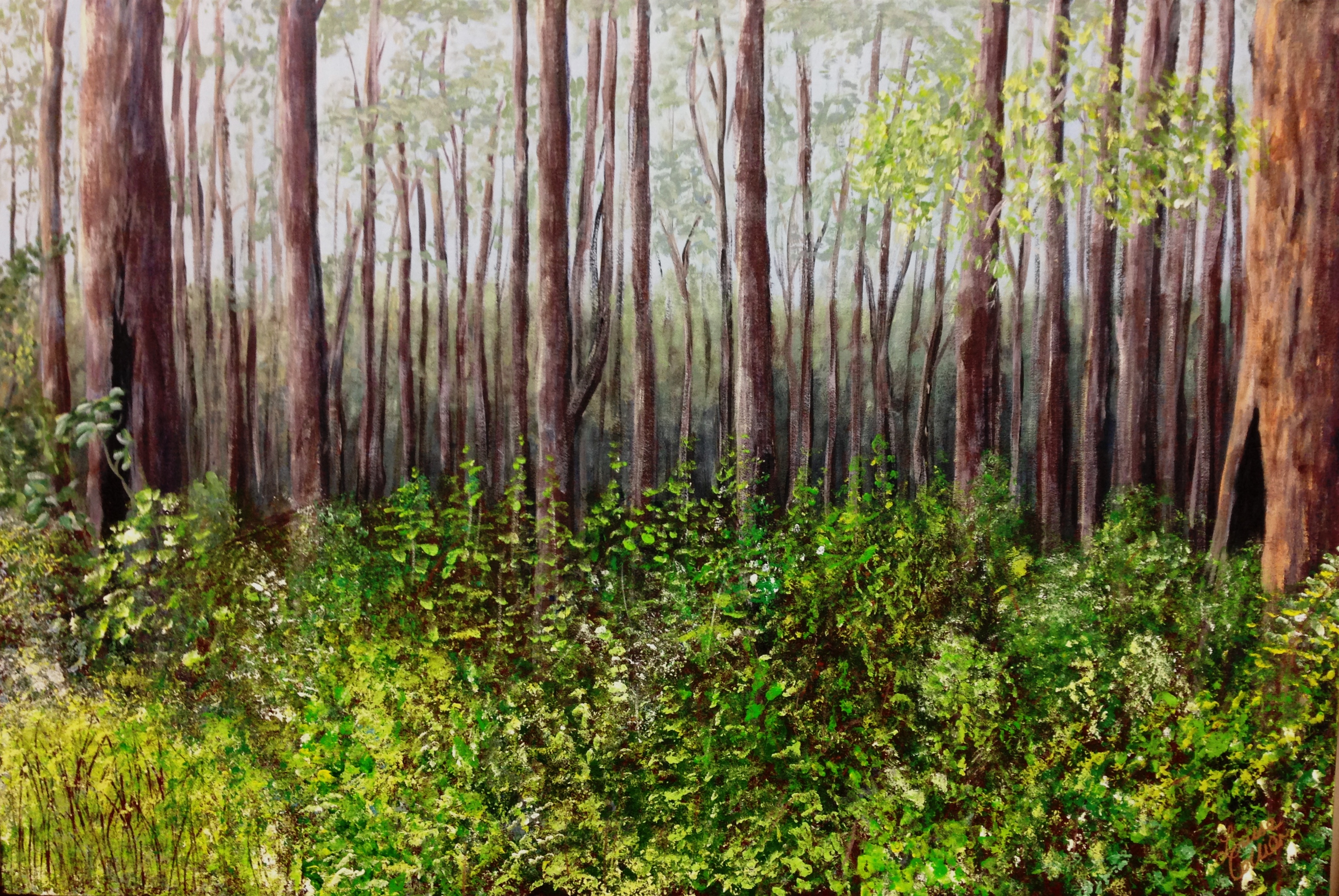 Forest Layers