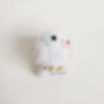 Thumbnail: Albino Lovebird