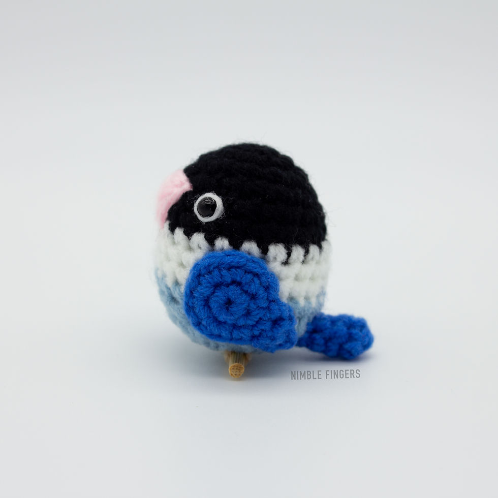 Thumbnail: Black Masked Lovebird