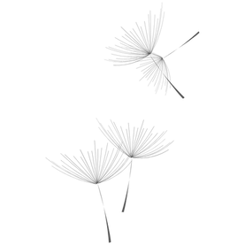 Design sem nome (1).png