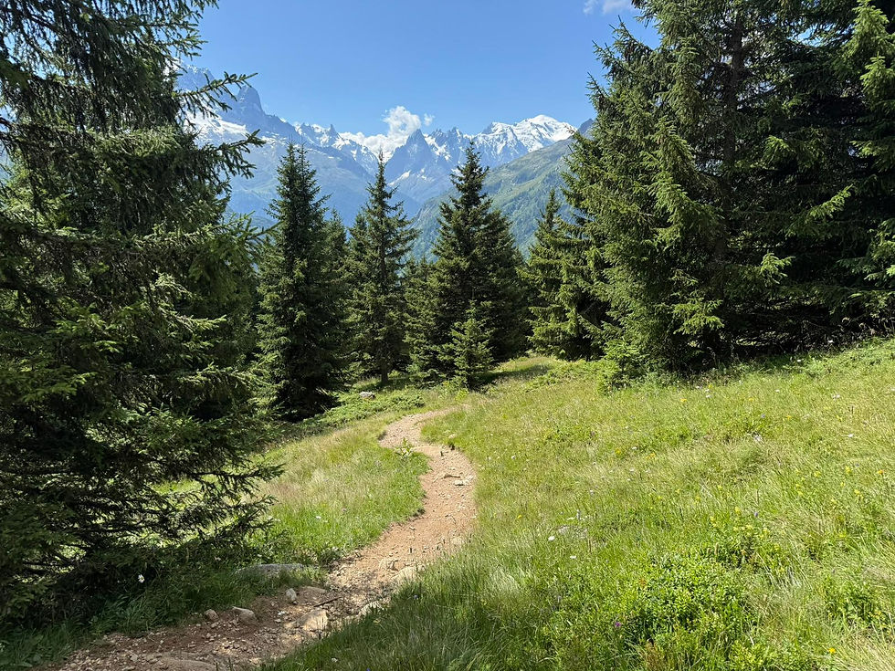 Trail runners climbing steep alpine terrain in Chamonix during a running trip
High-altitude trail running in Chamonix with views of glaciers and Mont Blanc running retreat, running holidays for singles