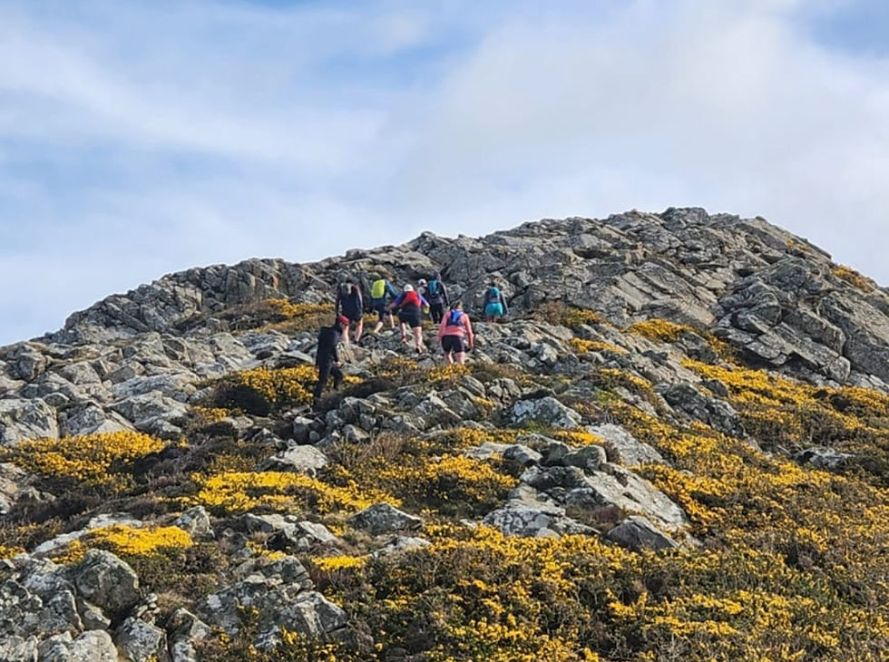 Group enjoying Pembrokeshire trail running on a guided coastal run