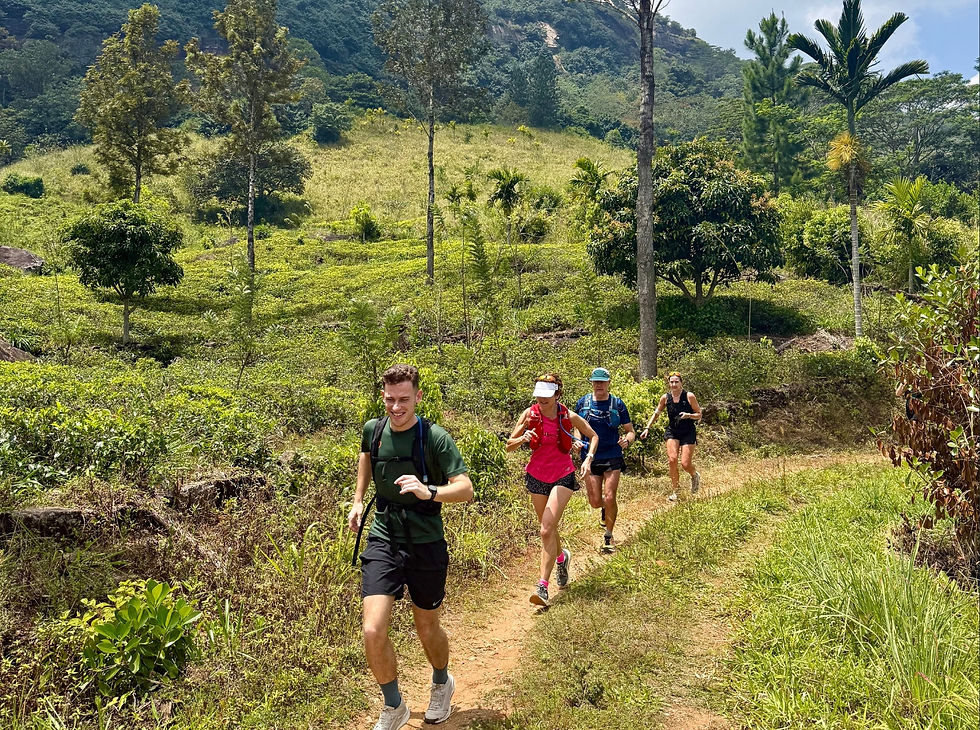 Runner exploring Sri Lanka's tea country on an adventurous trail running holiday along the Pekoe Trail. Explore the lush landscapes of Sri Lanka on an unforgettable trail running holiday through the island's beautiful central highlands. Run through tea plantations, forests, rural villages and mountain landscapes along sections of the famous Pekoe Trail, while experiencing Sri Lankan food, culture and local life. A brilliant adventure running holiday combining trail running and travel.