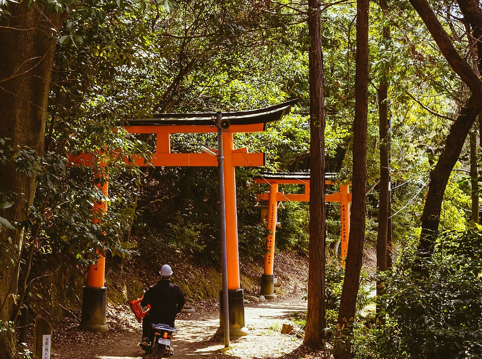 Running retreat in Japan blending scenic routes, cultural experiences and unforgettable running holidays abroad
