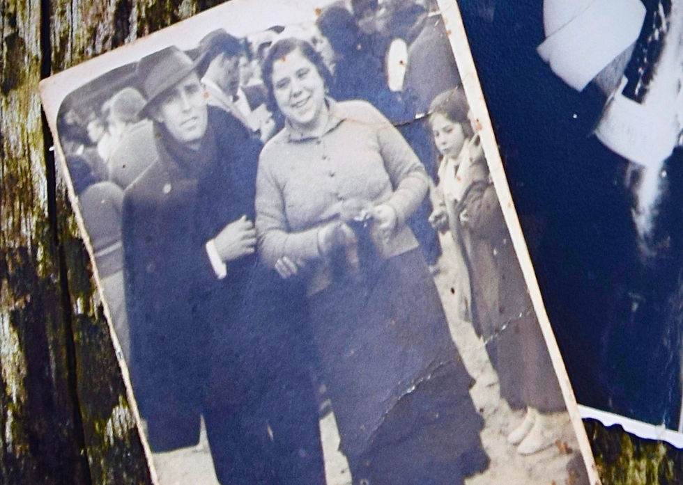 Maria Delores Benavent