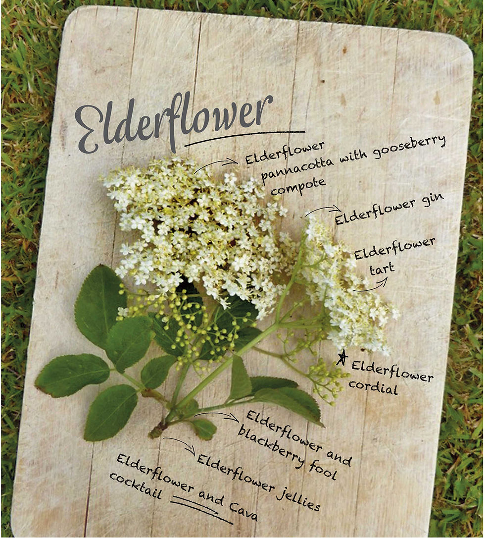 Elderflower cocktail