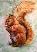 SquirrelClassthumb.jpg