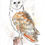 Thumbnail: Original Pen and Wash Barn Owl