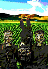 resignificando paz 2.jpg