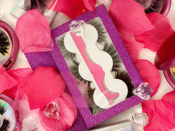 INDECISYVE-TRIO PACK-BOLD