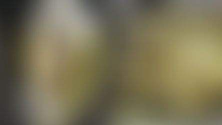 Ապօրինի որսված 43 կգ խեցգետինն առգրավվել և վերադարձվել է ջրամբար. ԲԸՏՄ