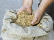 Որտեղի՞ց է Հայաստանը հացահատիկ ներկրում. 10 ամսվա ամփոփում