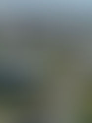 Մայիսի 3-5-ը Եվրոպական քաղաքական համայնքի 8-րդ գագաթնաժողովի շրջանակում Երևանում նախատեսվում են երթևեկության ժամանակավոր սահմանափակումներ