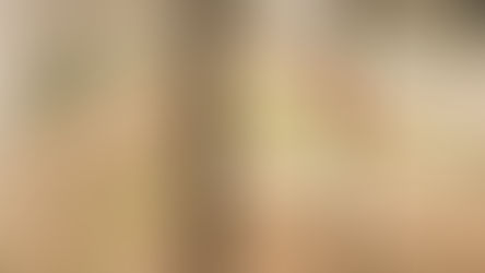 Կինը հայտնաբերել է, որ իրենց ընտանիքին պատկանող գերեզմանոցում այլ անձի են հուղարկավորել