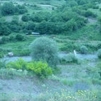 Ոսկեպարում 21-ամյա երիտասարդ է մահացել