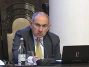 Ջերմոցի մոտ կանգնեցի, ասեցի՝ ի՞նչ եք աճեցնում, ասեցին՝ կանաչի, ասեցի՝ ո՞նց, էս մեծ ջերմոցում կանաչի՞. Փաշինյան