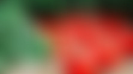 Բժիշկը որոշ մարդկանց խորհուրդ տվել է խուսափել լոլիկ ուտելուց