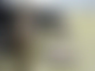 Ցուցադրական շարային ստուգատես