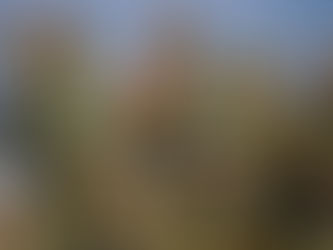 Հնդկաստանը խոշոր զորավարժություններ է անցկացնում Չինաստանի սահմանի մոտ