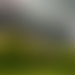 Սպասվում է անձրև և ամպրոպ. օդի ջերմաստիճանն աստիճանաբար կբարձրանա