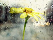 Սպասվում է անձրև և ամպրոպ. օդի ջերմաստիճանն ապրիլի 22-24-ին ցերեկային ժամերին աստիճանաբար կբարձրանա 5-7 աստիճանով