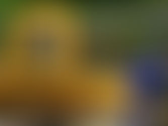 Ռուսաստանը գազն ուղղում է դեպի նոր շուկաներ․ Նովակ