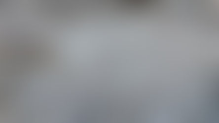 Հետազոտողներն Ալպերում անհավանական գտածոներ են հայտնաբերել