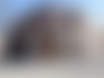 Դատապարտում ենք Արցախի մշակութային կոթողներից հայկականության հետքերը ջնջելու Ադրբեջանի քայլերը