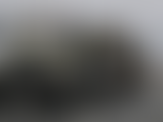 Աննա Մալյարը հայտնում է ուկրաինական ԶՈՒ մեքենաներով Կիև մտած ՌԴ զինծառայողներին վնասազերծելու մասին