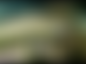 Աշխարհում ամենատարեց ձուկը, որն ապրում է ակվարիումում, 90 տարեկան է