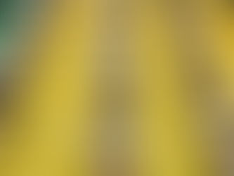 Իսպաներեն և պարսկերեն առարկաներից քննություն է հանձնել 2-ական դիմորդ․ արդյունքները հայտնի են