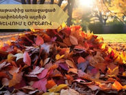 Տերևաթափից առաջացած թափոններն այրելն արգելվում է օրենքով․ խոշոր տուգանք է սահմանված